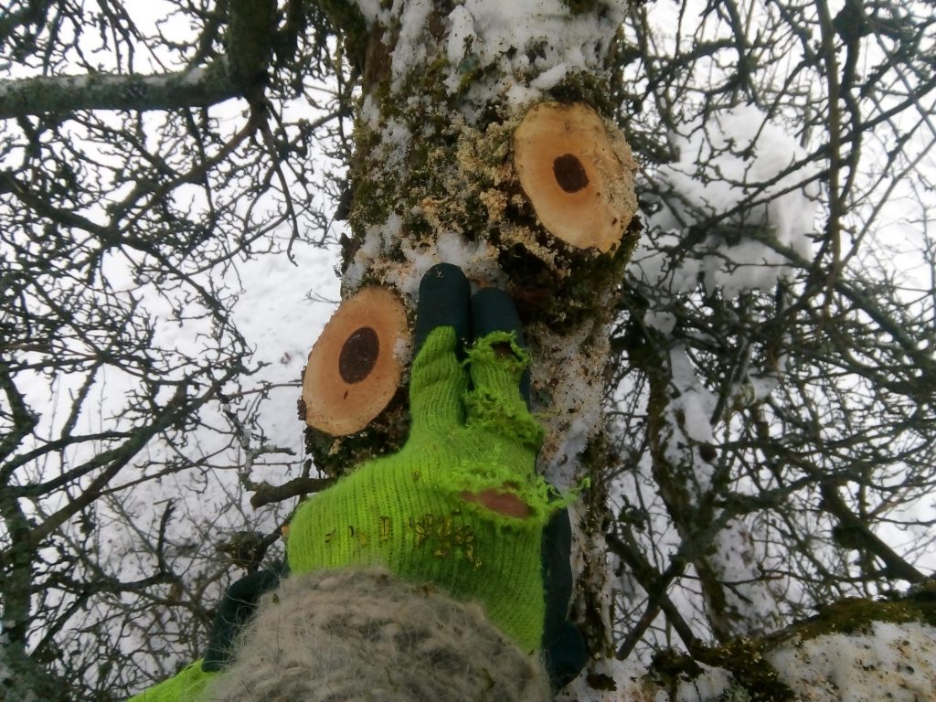 Dvě řezné rány v těsné blízkosti. 